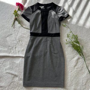 Classic Black and White Business Dress | London Times Dress | Formfitting Dress